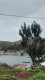 Lago Titicaca-Bolívia